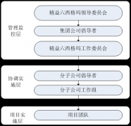 精益六西格瑪實施組織架構(gòu)和職能職責