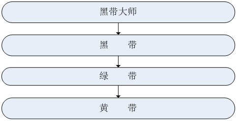 精益六西格瑪實施組織架構和職能職責