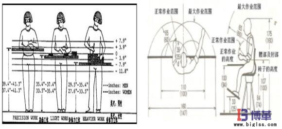 動作經(jīng)濟圖解