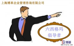 六西格瑪管理中倡導(dǎo)者的職責(zé)是什么？