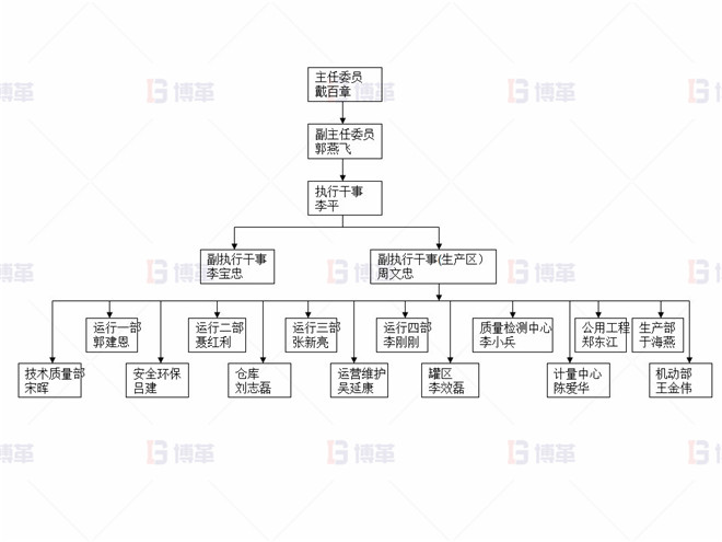 某化工廠生產(chǎn)區(qū)5S改善案例 5S項目組織架構